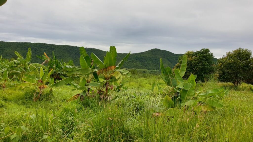 Special economic zone